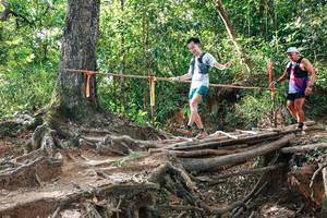 BIB: 
                            <button type="button" onclick="openModal(27556559)" class="btn btn-primary btn-sm float-right btn-popup" data-toggle="modal" data-target=".modal-high-quality">
                        <i class="fas fa-shopping-cart"></i> Add to Cart
                    </button>
                                            <button type="button" onclick="isThisMe(27556559, true)" class="btn btn-success btn-sm float-right btn-popup btn-isme hidden" data-toggle="tooltip" data-placement="bottom" title="นี่คือรูปของคุณใช่ไหม คลิกที่นี่เพื่อเอาเข้าอัลบั้ม">
                        <i class="fas fa-plus"></i> Add to album
                    </button>
                    <button type="button" onclick="isThisMe(27556559, false)" class="btn btn-warning btn-sm float-right btn-popup btn-isnotme hidden">
                        <i class="fas fa-ban"></i> Remove from album
                    </button>